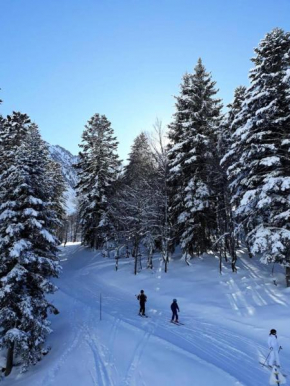 Résidence Lienz - Studio avec petite terrasse exposé Sud proche du centre de Barèges MAE-8604